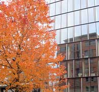 Fall Can Mean Falling Prices for your Commercial HVAC System